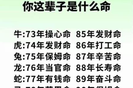 命运密码背后的秘密:八字命理中的隐藏力量如何改变你的命运