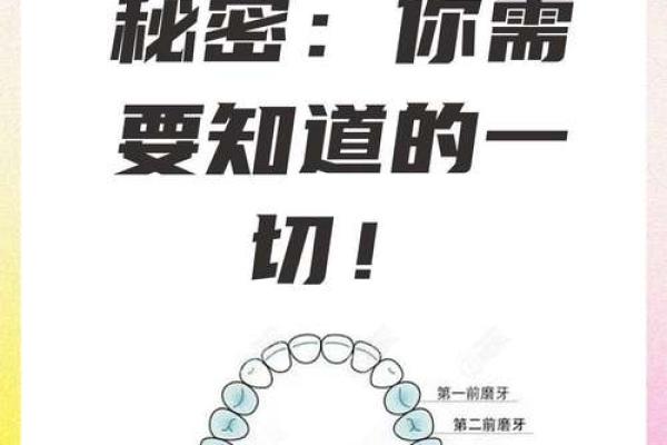 牙齿命理中的暗藏玄机:如何利用它改变你的命运 牙齿命理中的暗藏玄机:如何利用它改变你的命运
