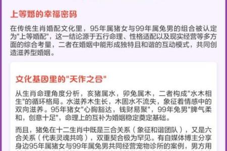 枢字五行格局解析:揭开性格密码,反而助你逆风翻盘