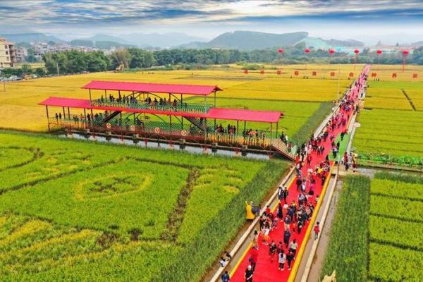 独龙族的丰收节:庆祝丰收,品味自然的馈赠 独龙族的丰收节:庆祝丰收,品味自然的馈赠