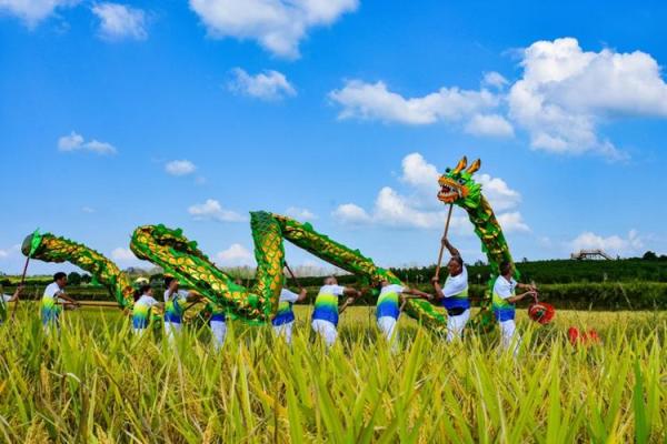 独龙族的丰收节:庆祝丰收,品味自然的馈赠 独龙族的丰收节:庆祝丰收,品味自然的馈赠