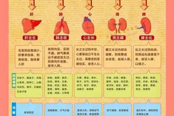 五行格局颠覆性解读:属水职业人的性格误区与突破之道 五行格局颠覆性解读:属水职业人的性格误区与突破之道