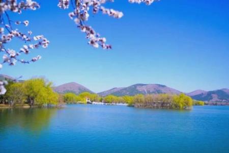 ：走进春天，感悟节日背后的自然与人文风情