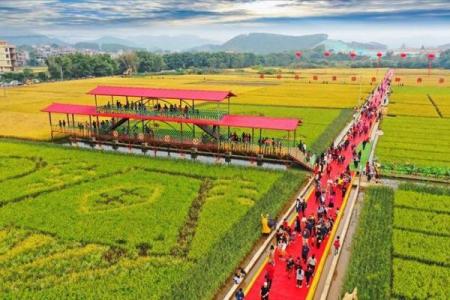 独龙族的丰收节：庆祝丰收，品味自然的馈赠