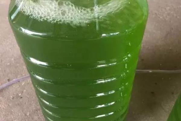 土龙命理中的误区,你以为的命运反而可能是改变的关键 土龙命理中的误区,你以为的命运反而可能是改变的关键