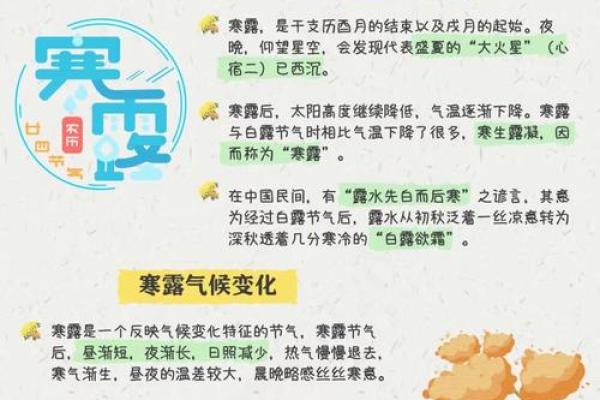寒露:品茗养生,感受秋意浓 寒露:品茗养生,感受秋意浓