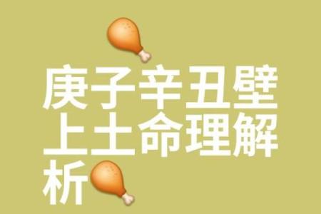 土龙命理中的误区，你以为的命运反而可能是改变的关键