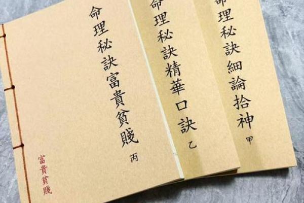 揭开杨清娟命理的命运密码,破解命运背后的深层次玄机 揭开杨清娟命理的命运密码,破解命运背后的深层次玄机