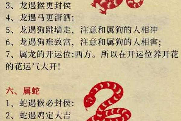 双猪同槽八字的命运密码,破解后如何逆转不利命运? 双猪同槽八字的命运密码,破解后如何逆转不利命运?