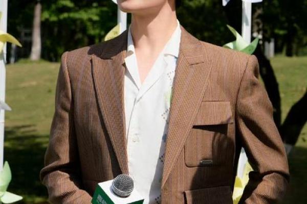 杨洋的命运密码,如何破解八字中的隐藏力量 杨洋的命运密码,如何破解八字中的隐藏力量