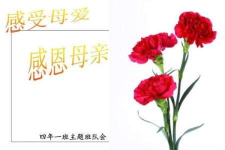 母亲节：感恩母爱，送礼表达心意与温情