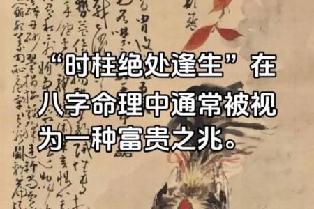 八字命理揭秘：误区中的绝处逢生之道