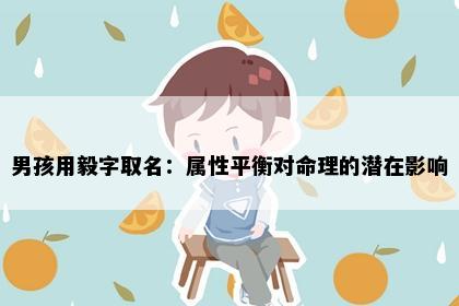 男孩用毅字取名：属性平衡对命理的潜在影响