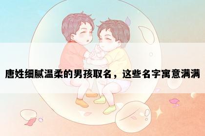唐姓细腻温柔的男孩取名，这些名字寓意满满