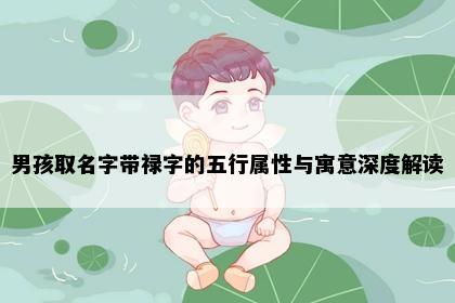 男孩取名字带禄字的五行属性与寓意深度解读