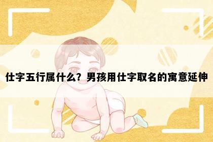 仕字五行属什么？男孩用仕字取名的寓意延伸