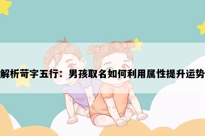 解析苛字五行：男孩取名如何利用属性提升运势