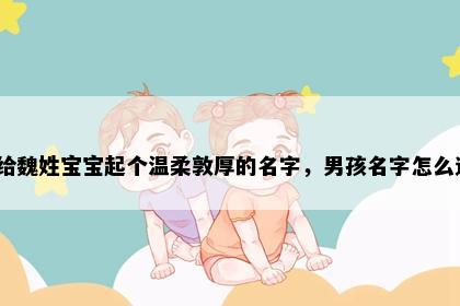想给魏姓宝宝起个温柔敦厚的名字，男孩名字怎么选？