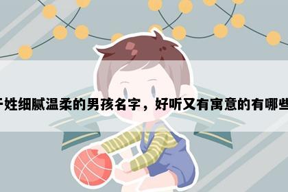 于姓细腻温柔的男孩名字，好听又有寓意的有哪些？