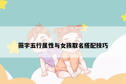 薇字五行属性与女孩取名搭配技巧