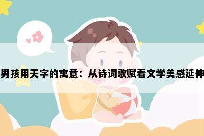 男孩用天字的寓意：从诗词歌赋看文学美感延伸