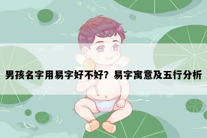 男孩名字用易字好不好？易字寓意及五行分析