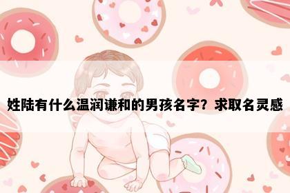 姓陆有什么温润谦和的男孩名字？求取名灵感