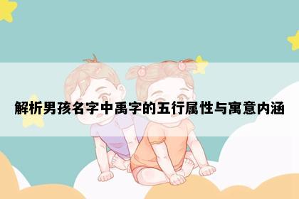 解析男孩名字中禹字的五行属性与寓意内涵