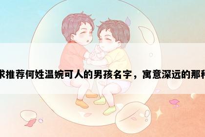 求推荐何姓温婉可人的男孩名字，寓意深远的那种