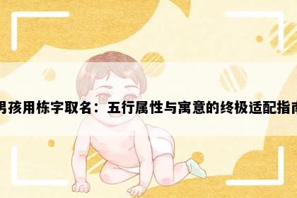 男孩用栋字取名：五行属性与寓意的终极适配指南