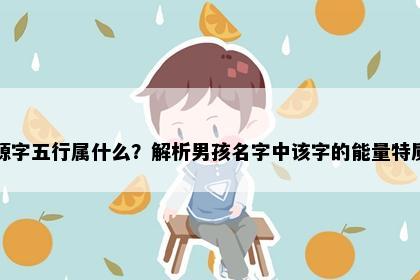 源字五行属什么？解析男孩名字中该字的能量特质
