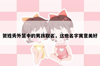 贺姓秀外慧中的男孩取名，这些名字寓意美好