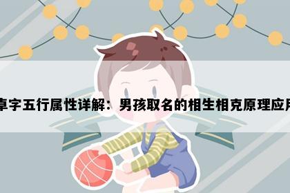 卓字五行属性详解：男孩取名的相生相克原理应用