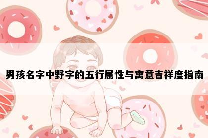 男孩名字中野字的五行属性与寓意吉祥度指南