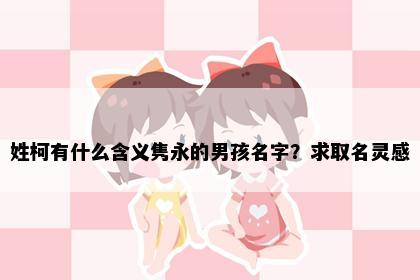 姓柯有什么含义隽永的男孩名字？求取名灵感