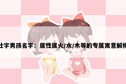 壮字男孩名字：属性属火/水/木等的专属寓意解析