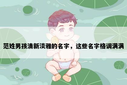 范姓男孩清新淡雅的名字，这些名字格调满满