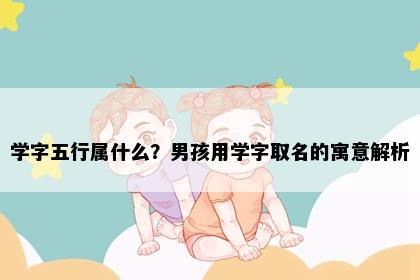 学字五行属什么？男孩用学字取名的寓意解析