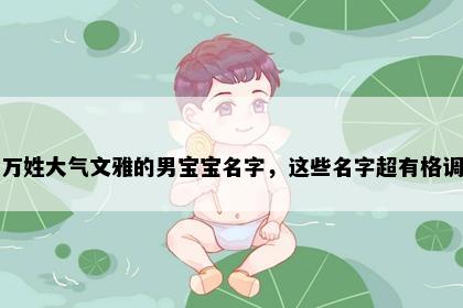 万姓大气文雅的男宝宝名字，这些名字超有格调