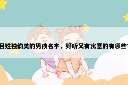 吕姓独韵美的男孩名字，好听又有寓意的有哪些？