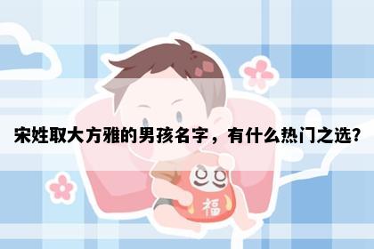 宋姓取大方雅的男孩名字，有什么热门之选？