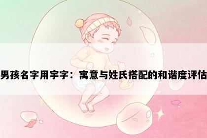 男孩名字用宇字：寓意与姓氏搭配的和谐度评估