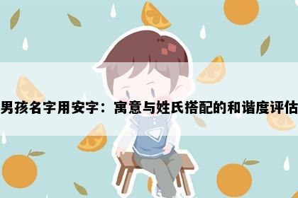 男孩名字用安字：寓意与姓氏搭配的和谐度评估