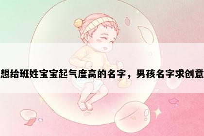 想给班姓宝宝起气度高的名字，男孩名字求创意
