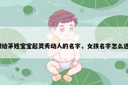 想给茅姓宝宝起灵秀动人的名字，女孩名字怎么选？