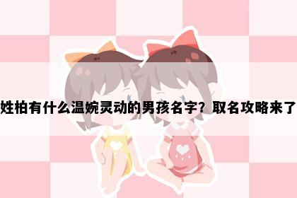 姓柏有什么温婉灵动的男孩名字？取名攻略来了