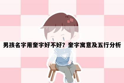男孩名字用奎字好不好？奎字寓意及五行分析
