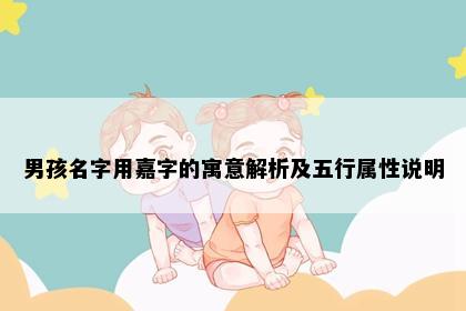 男孩名字用嘉字的寓意解析及五行属性说明